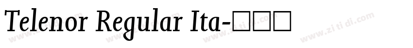 Telenor Regular Ita字体转换